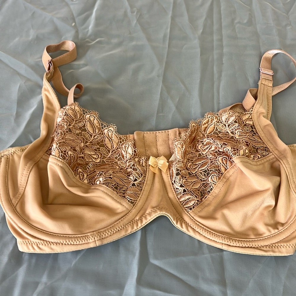 Chanteuse Fuller For Collection Underwire Bra Size 38C